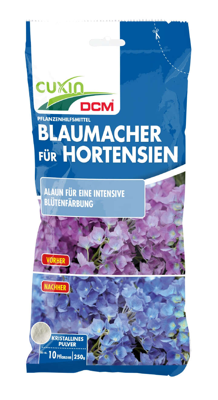 CUXIN Blaumacher Hortensien